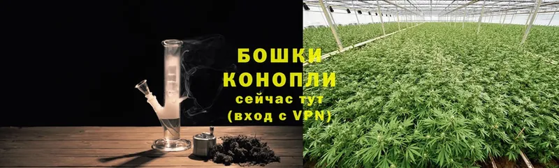 дарнет шоп  Алупка  Бошки Шишки OG Kush 